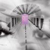 Cornelius - 夢中夢 -Dream In Dream-