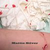 Stegosaurus Rex - Mattie Silver