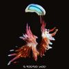 Sub Focus - I Found You