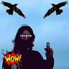 ldybyrdd - ravens