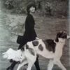 ovine hall - ovine hall