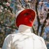 Pale Jay - The Celestial Suite