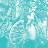 Deerhunter - Weird Era Cont.