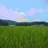 끝이별 [laststar] - Our Last Summer