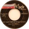 Ronnie Spector - Why Don't They Let Us Fall In Love
