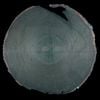 Charles Sumner Tainter - Disc 1 &ndash; 312119
