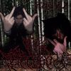 Ballsoil - scary hill