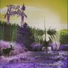 Moosegut - From the Deepening Gloom...