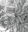 DIR EN GREY - Rinkaku (輪郭)