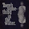 tv room - Something in the Water