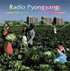 Various Artists - Radio Pyongyang: Commie Funk and Agit Pop From the Hermit Kingdom