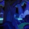 Pogo - Wonderland