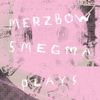 Merzbow & Smegma - Plays