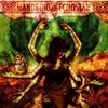 Mandroid Echostar - Mandroid Echostar