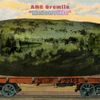 AMC Gremlin - Melonville