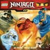 Michael Kramer & Jay Vincent - Ninjago: Masters of Spinjitzu&trade;