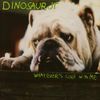 Dinosaur Jr. - Whatever's Cool with Me
