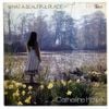 Catherine Howe - What a Beautiful Place