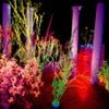 Hüsker Dü - Warehouse: Songs and Stories