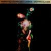 Jarboe - Sacrificial Cake
