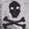 kai - bones