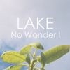 LAKE - No Wonder I