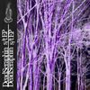 DeadSeraphin - DeadSeraphin