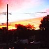 abriction - I Had A Dream That I Crashed My Dad's Jeep On The Bronx River Parkway