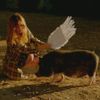 Evangeline - Fuzzy
