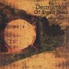 The Destruction of Small Ideas