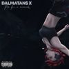 Dalmatans X - Flip for a Moment