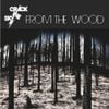 Crack the Sky - From the Wood