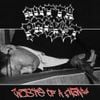 Outta Pocket - Waste of a Man