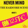 Never Mind the Hardcore Scene, Here’s Emo2stic