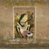 The Shakespearean Frog - A Wonderful Meeting