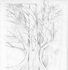 Routes Not Roots