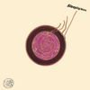 Sun Ra - Sleeping Beauty (Expanded Edition)