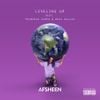 AFSHeeN - Leveling Up