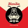 Blondie - Pollinator