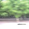 Gridlock - Formless