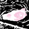 Biome - Fargo