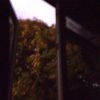 Radio Noise - digital tape collection