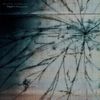 Wilted Cabbage - Euphoric Dissonance