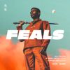 Leafs - Feals