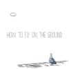 Emmit Fenn - How To Fly On The Ground