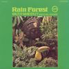 Rain Forest