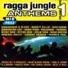 Ragga Jungle Anthems Volume 1