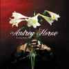 Audrey Horne - No Hay Banda