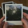 Vines - Birthday Party
