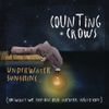 Counting Crows - Underwater Sunshine (Or What We Did On Our Summer Vacation)